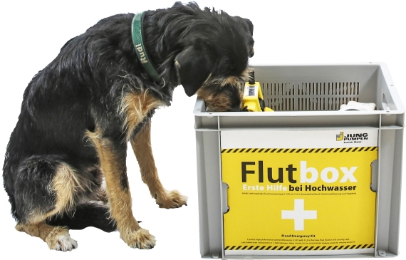 Seite nicht gefunden